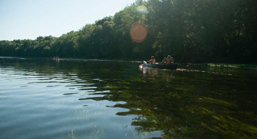 A canoe is paddled on calm water beside a tree-lined shore